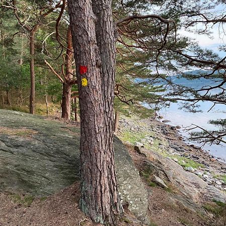 Cottage - Majviken Ljungskile Eksteriør bilde